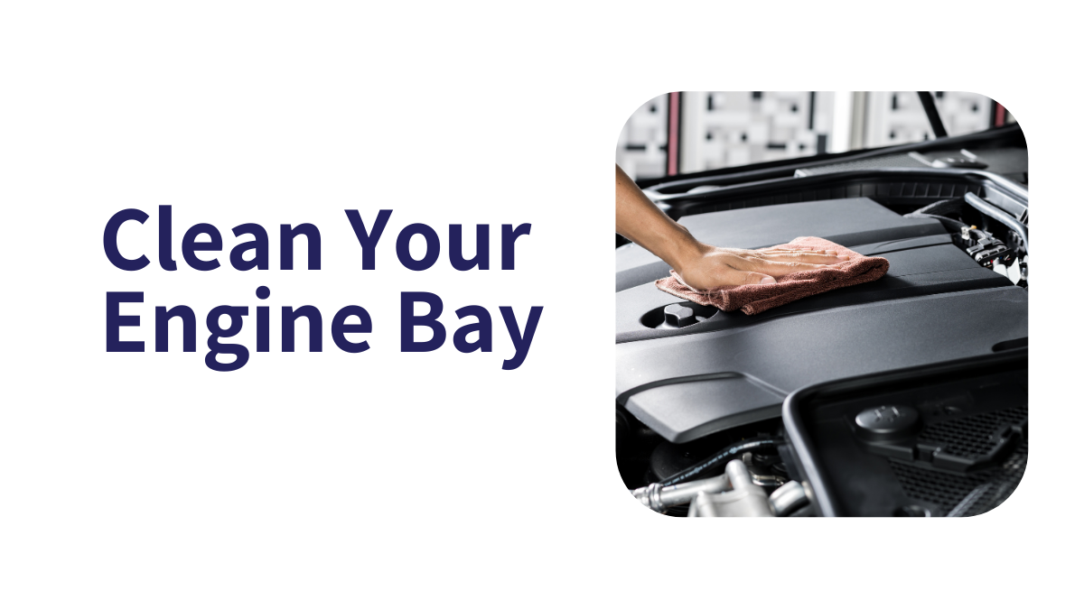 How To: Clean Your Engine Bay? - Gold Coast Car Detailing