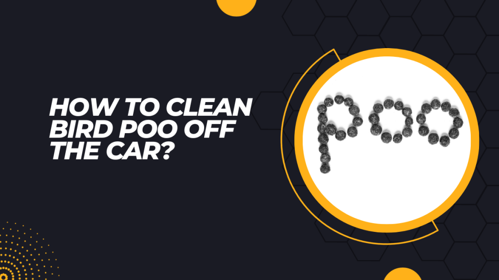 How To Clean Bird Poo Off The Car